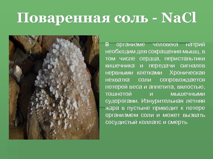Поваренная соль - Na. Cl организме человека натрий необходим для сокращения мышц, в том