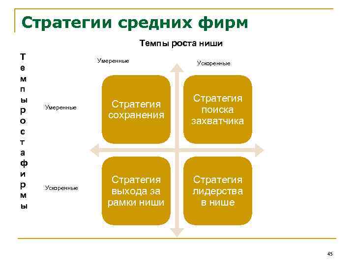 Стратегия сохранения