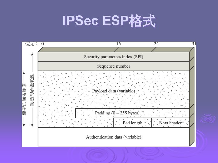 IPSec ESP格式 