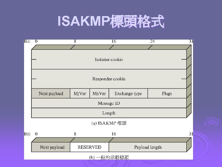 ISAKMP標頭格式 
