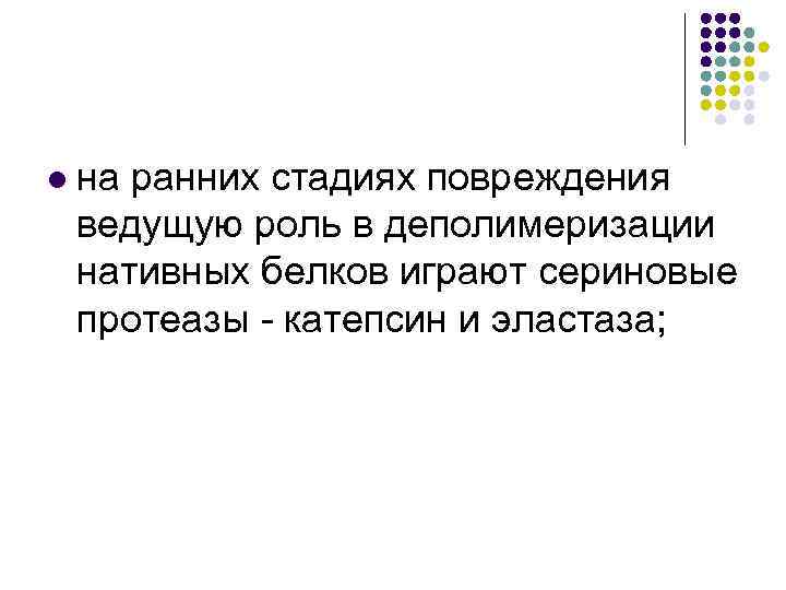 l на ранних стадиях повреждения ведущую роль в деполимеризации нативных белков играют сериновые протеазы