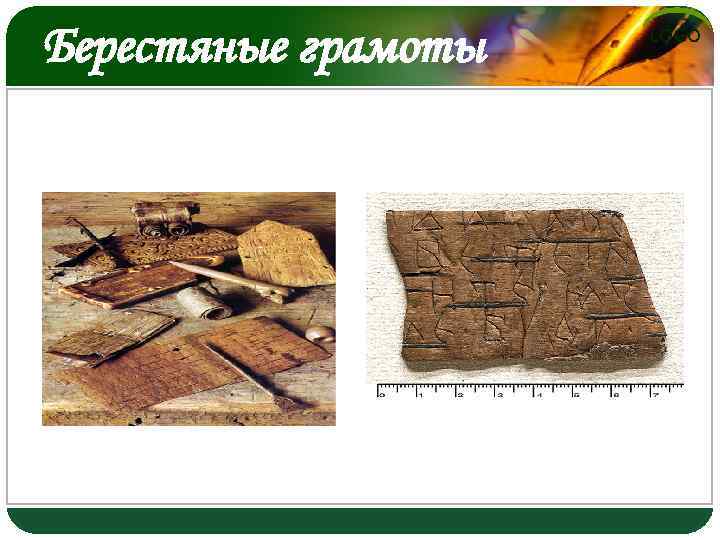 Берестяные грамоты LOGO 