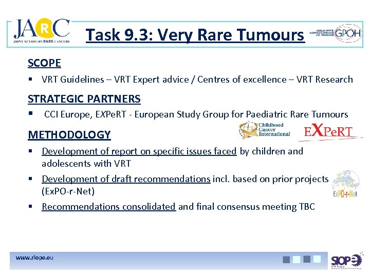 Task 9. 3: Very Rare Tumours SCOPE § VRT Guidelines – VRT Expert advice