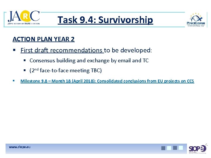 Task 9. 4: Survivorship ACTION PLAN YEAR 2 § First draft recommendations to be