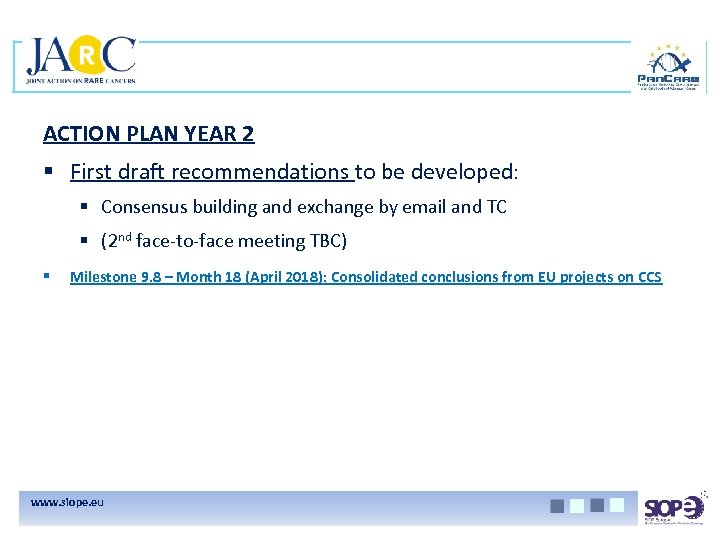 ACTION PLAN YEAR 2 § First draft recommendations to be developed: § Consensus building