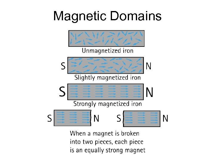 Magnetic Domains 