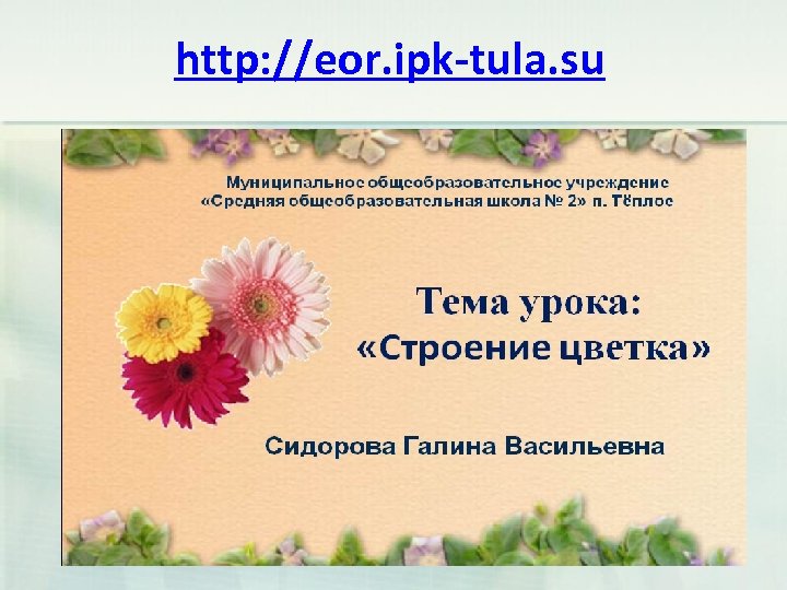 http: //eor. ipk-tula. su 
