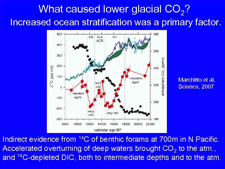 What caused lower glacial CO 2? Increased ocean stratification was a primary factor. Marchitto