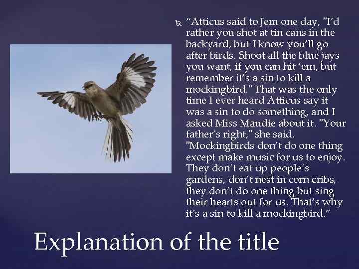  “Atticus said to Jem one day, "I’d rather you shot at tin cans