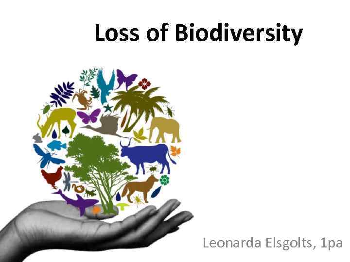 Loss of Biodiversity Leonarda Elsgolts, 1 pa 