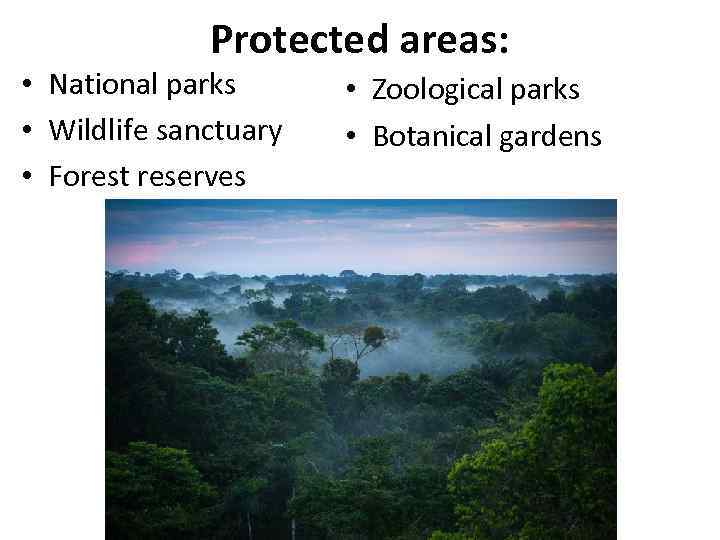 Protected areas: • National parks • Wildlife sanctuary • Forest reserves • Zoological parks