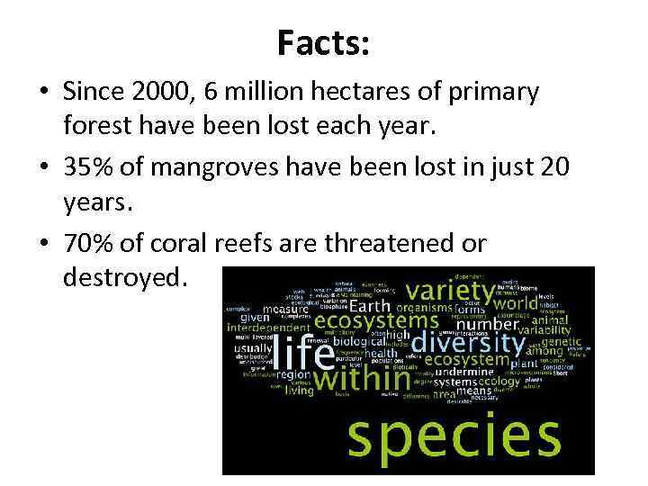 Facts: • Since 2000, 6 million hectares of primary forest have been lost each