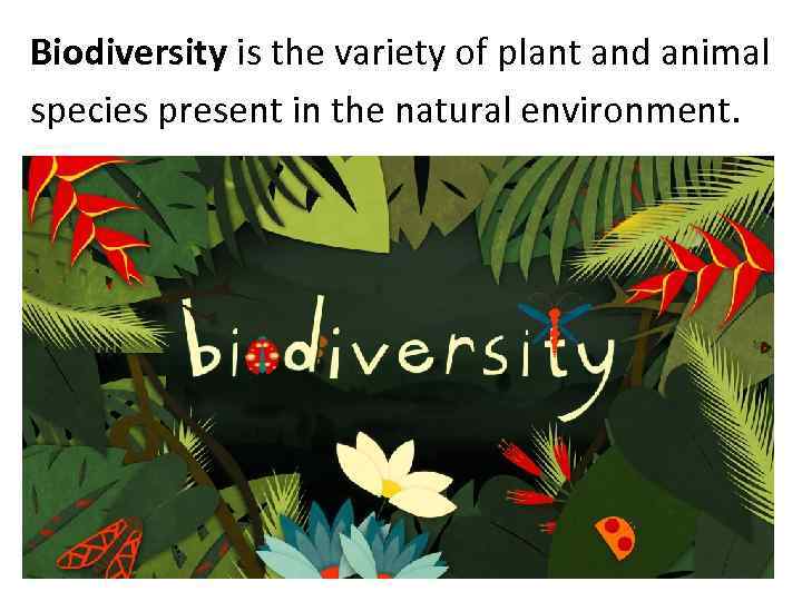 Biodiversity is the variety of plant and animal species present in the natural environment.