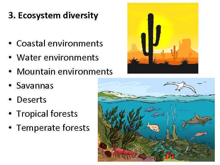 3. Ecosystem diversity • • Coastal environments Water environments Mountain environments Savannas Deserts Tropical