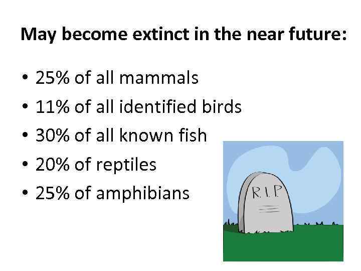 May become extinct in the near future: • • • 25% of all mammals