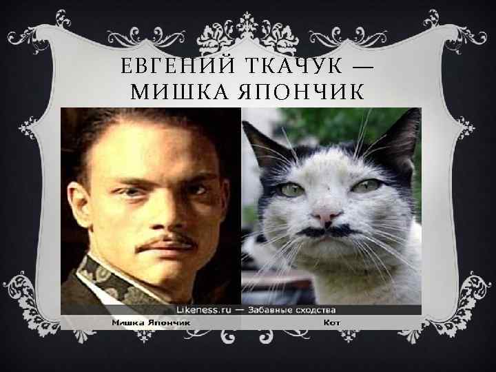 ЕВГЕНИЙ ТКАЧУК — МИШКА ЯПОНЧИК 