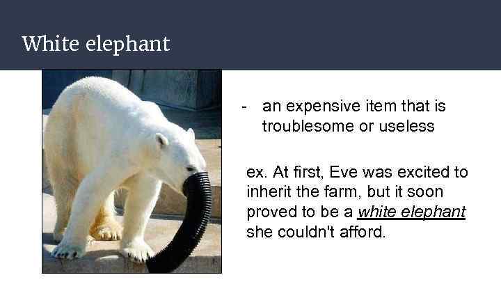 White elephant - an expensive item that is troublesome or useless ex. At first,