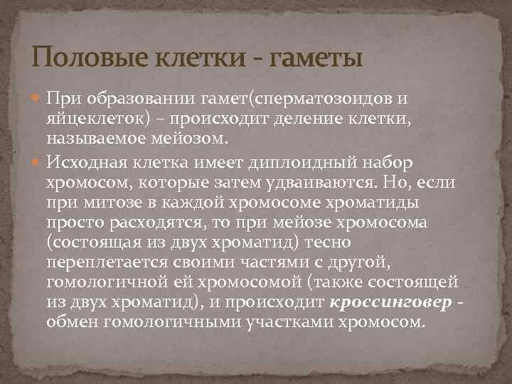 Половые клетки - гаметы При образовании гамет(сперматозоидов и яйцеклеток) – происходит деление клетки, называемое