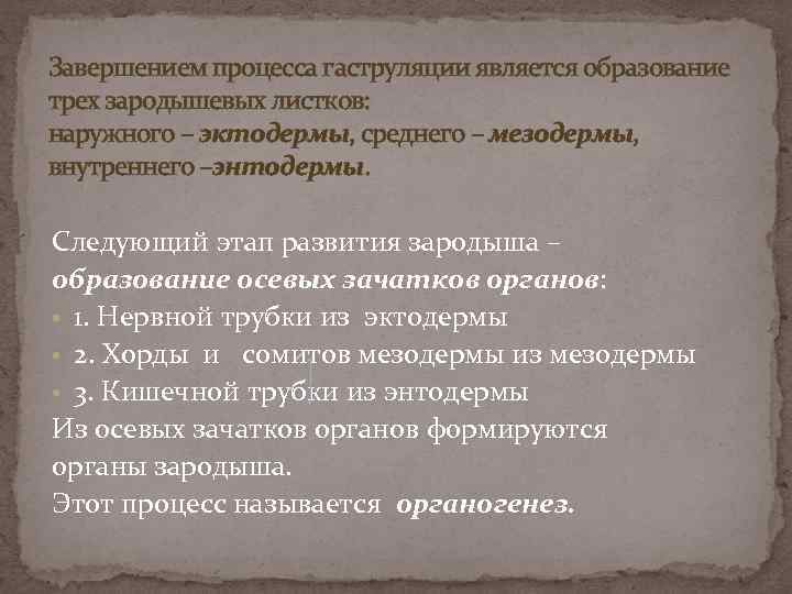 Завершением процесса гаструляции является образование трех зародышевых листков: наружного – эктодермы, среднего – мезодермы,