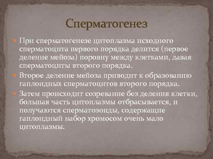 Сперматогенез При сперматогенезе цитоплазма исходного сперматоцита первого порядка делится (первое деление мейоза) поровну между