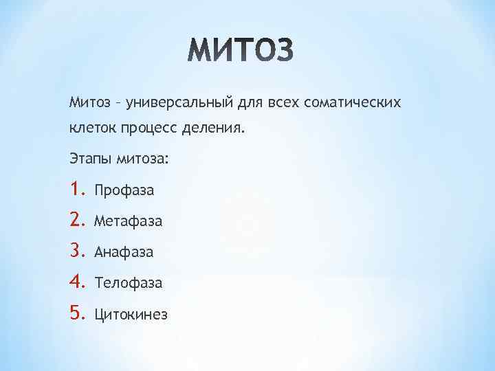 Митоз – универсальный для всех соматических клеток процесс деления. Этапы митоза: 1. Профаза 2.