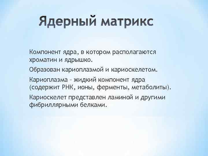 Компонент ядра, в котором располагаются хроматин и ядрышко. Образован кариоплазмой и кариоскелетом. Кариоплазма –