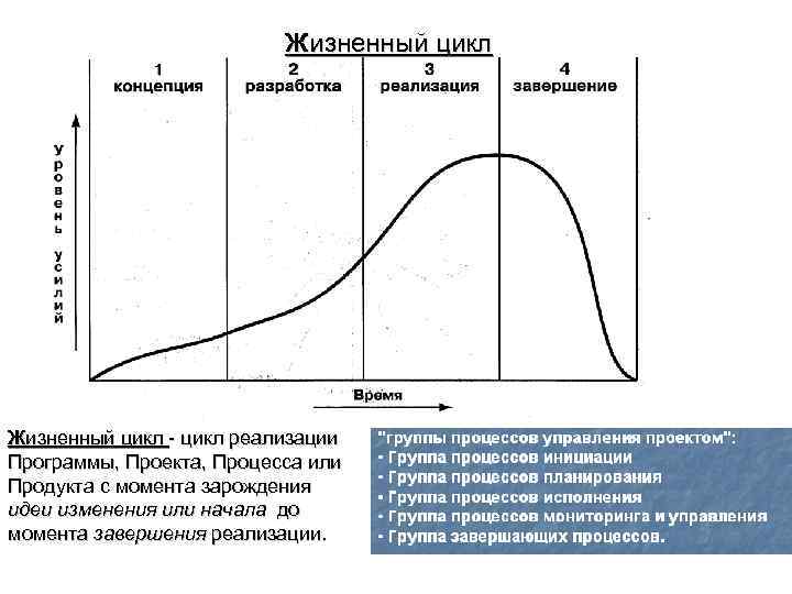 Жизненный цикл - цикл реализации Программы, Проекта, Процесса или Продукта с момента зарождения идеи