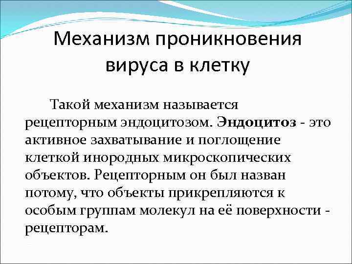 Mеханизм проникновения вируса в клетку Такой механизм называется рецепторным эндоцитозом. Эндоцитоз - это активное