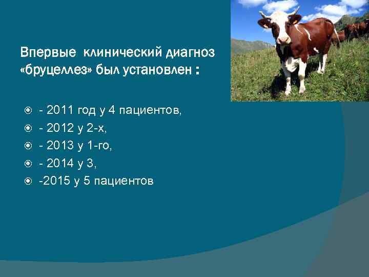 Впервые клинический диагноз «бруцеллез» был установлен : - 2011 год у 4 пациентов, -