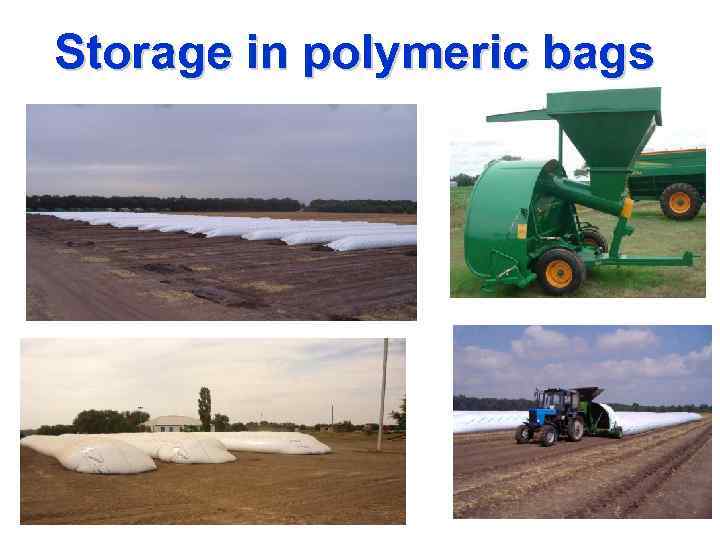 Storage in polymeric bags 