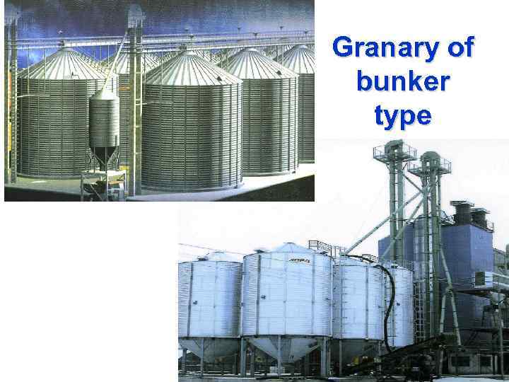 Granary of bunker type 
