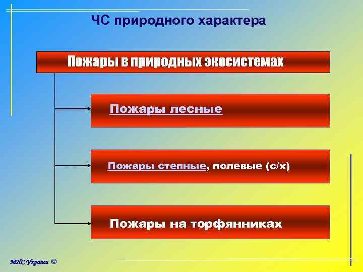 ЧС природного характера Пожары в природных экосистемах Пожары лесные Пожары степные, полевые (с/х) Пожары