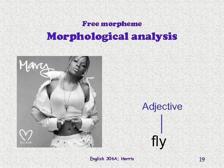 Free morpheme Morphological analysis Adjective fly English 306 A; Harris 19 