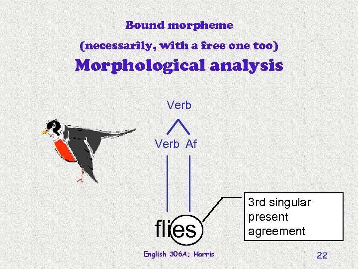 Bound morpheme (necessarily, with a free one too) Morphological analysis Verb Af flies English