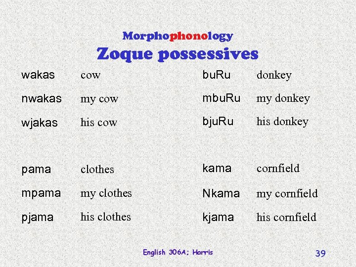 Morphophonology Zoque possessives wakas cow bu. Ru donkey nwakas my cow mbu. Ru my