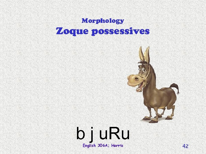 Morphology Zoque possessives b j u. Ru English 306 A; Harris 42 