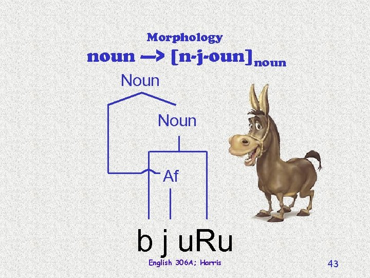 Morphology noun —> [n-j-oun]noun Noun Af b j u. Ru English 306 A; Harris