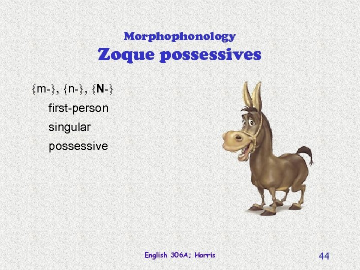 Morphophonology Zoque possessives {m-}, {n-}, {N-} first-person singular possessive English 306 A; Harris 44