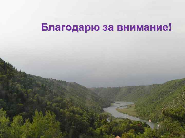 Благодарю за внимание! 