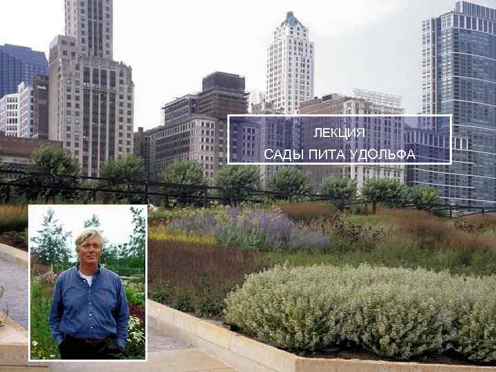 ЛЕКЦИЯ САДЫ ПИТА УДОЛЬФА 