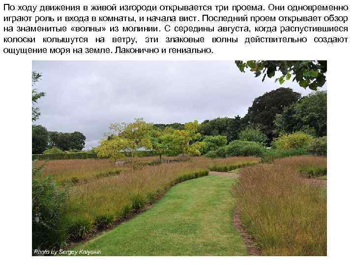 По ходу движения в живой изгороди открывается три проема. Они одновременно играют роль и