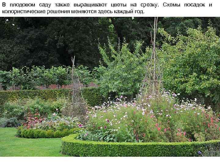 В плодовом саду также выращивают цветы на срезку. Схемы посадок и колористические решения меняются
