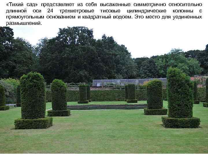  «Тихий сад» представляет из себя высаженные симметрично относительно длинной оси 24 трехметровые тисовые