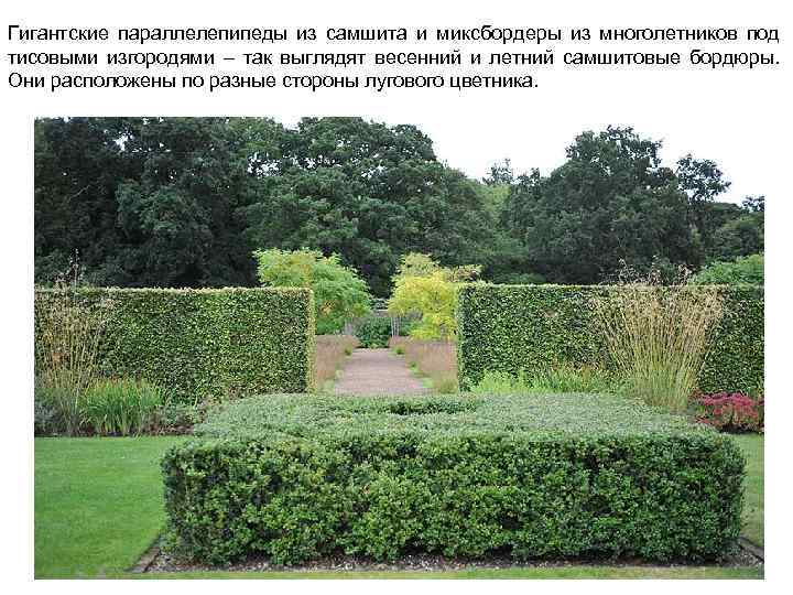 Гигантские параллелепипеды из самшита и миксбордеры из многолетников под тисовыми изгородями – так выглядят