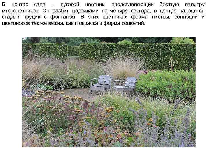 В центре сада – луговой цветник, представляющий богатую палитру многолетников. Он разбит дорожками на