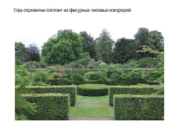 Сад серпантин состоит из фигурных тисовых изгородей 