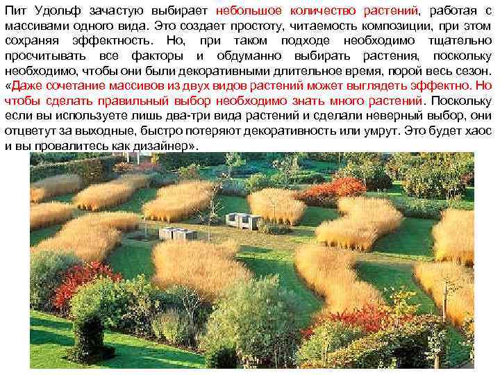 Пит Удольф зачастую выбирает небольшое количество растений, работая с массивами одного вида. Это создает