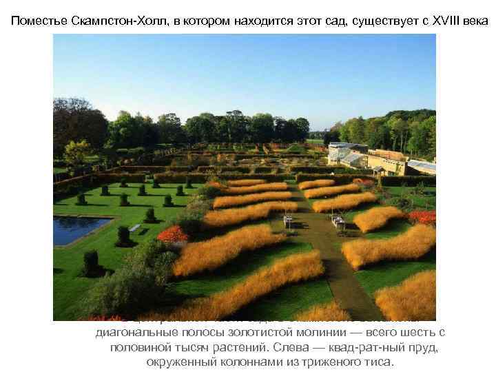 Поместье Скампстон Холл, в котором находится этот сад, существует с XVIII века В центральной