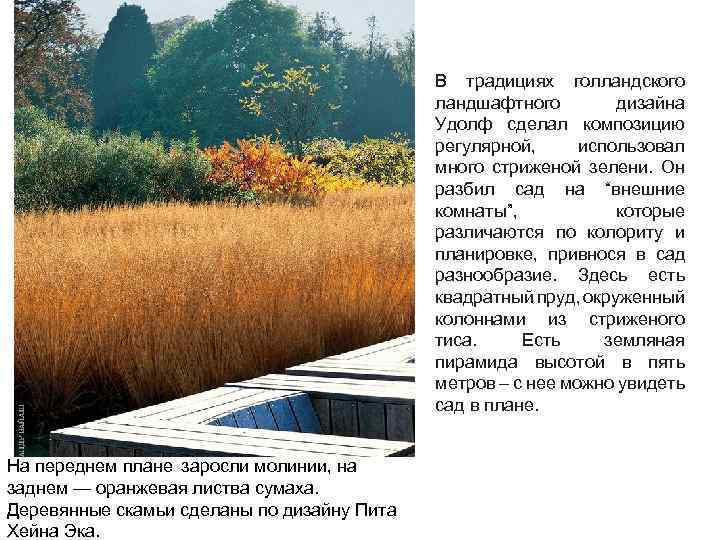 В традициях голландского ландшафтного дизайна Удолф сделал композицию регулярной, использовал много стриженой зелени. Он