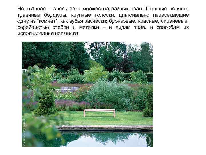 Но главное – здесь есть множество разных трав. Пышные поляны, травяные бордюры, крупные полоски,